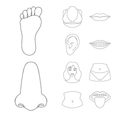 Vector design of body and part icon. Set of body and anatomy stock vector illustration.