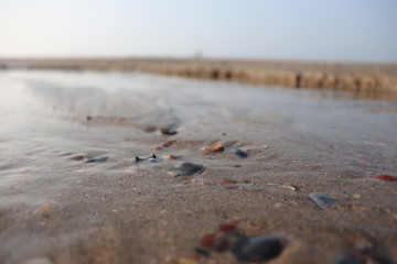 beach in winter