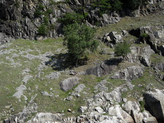 Fiordos