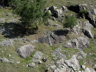 Fiordos