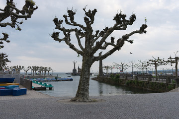 An der Ufer-Promenade im Stadtpark von Konstanz / Bodensee