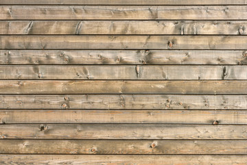 Fototapeta premium Wood plank empty background