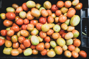 fresh tomatoes at the market