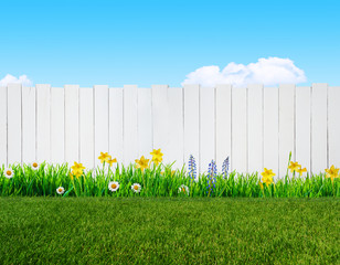 spring flowers and wooden garden fence