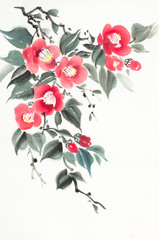 red camellia flowers