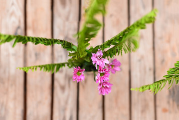fern and pink flowers seen from above on the wooden pallet table pteridophytes, flower decoration, wooden background,  spring week, spring,springtime, mayflower, cowslip, primrose, view from above	