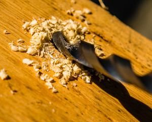 Close-up of drill bit with wood shavings in the sunlight