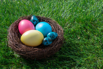 Quail and chicken painted Easter eggs in a nest on green grass