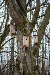 Birdhouses