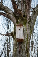 Birdhouses