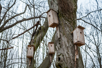 Birdhouses