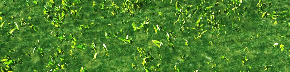 Herb background, herb texture, glade above, grass meadow © ustas
