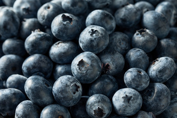 Raw Blue Organic Blueberries