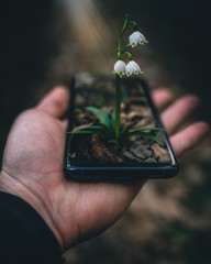 Growing from the phone