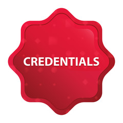 Credentials misty rose red starburst sticker button