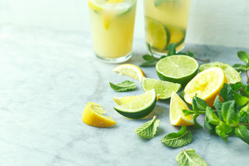 Ingredients for making a summer lemonade; lime and lemon, fresh mint leaves. Close-up