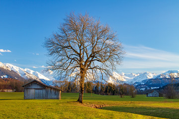 Frühling - Allgäu - Alpen - malerisch - März - April