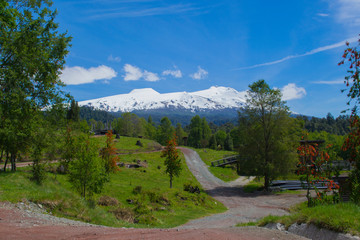 Reserva Huilo huilo