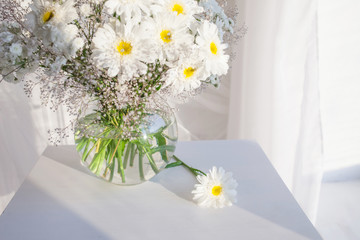 Glass vase  white camomile floweers  in light cozy bedroom interior. White wall, sunlight from window, copy space