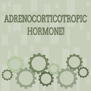 Word writing text Adrenocorticotropic Hormone. Business photo showcasing hormone secreted by pituitary gland cortex Colorful Cog Wheel Gear Engaging, Interlocking and Tesselating Flat Style