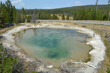 old faithful geyser in yellowstone national park