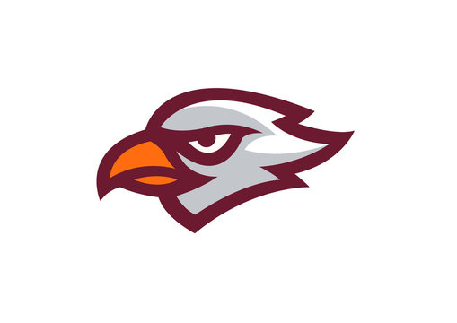 Hawk Head Mascot Vector Logo EPS10
