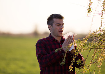 Man with allergy on pollen