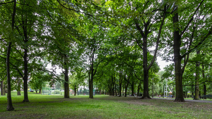 Fototapeta na wymiar Florian Nowacki Park, Krakow, Poland