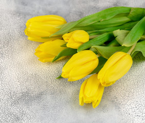 Bunch of yellow tulips on a light background.