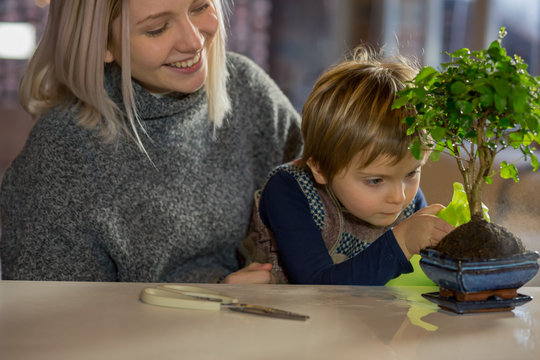 Boy spraying water on houseplant while sitting with mother at home