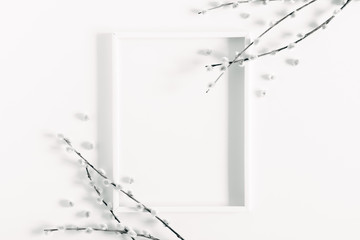 Blank frame for text and willow branch on white background. Flat lay, top view, copy space 