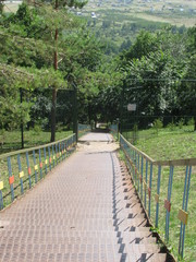 path in park