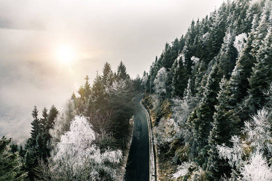 View of road passing through snow covered trees during sunset