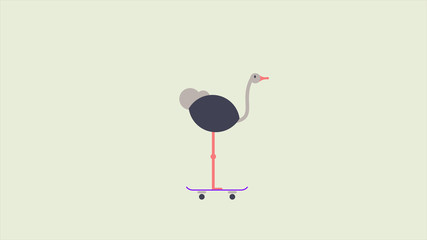 Fototapeta premium Ostrich on skateboard