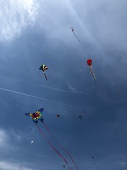 kite flying in the sky