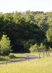 PEACEFUL PATH