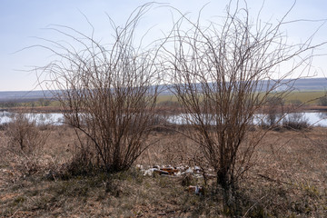 Environmental pollution. A pile of glass, plastic bottles and other garbage under bushes on the bank of the river in a picturesque area in spring