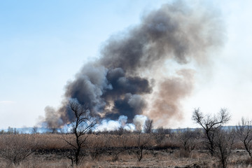 Fire in the steppe in a spring sunny cloudless day. Dark gray smoke frolics in the wind.