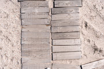 The path to the sea is crookedly paved with wooden planks. Space for text, empty cells. Top view