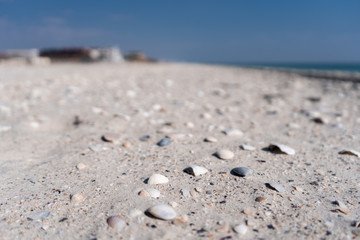 Fototapeta na wymiar Close-up of the sea sandy-shell beach in the off-season. 