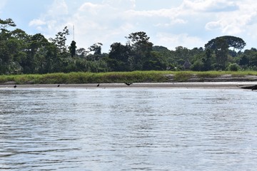landscape with river