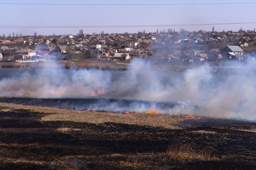 Fire in the reeds on the river, gray smoke, residential houses of the village on a cloudless sky