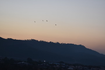 sunset in mountains with birds