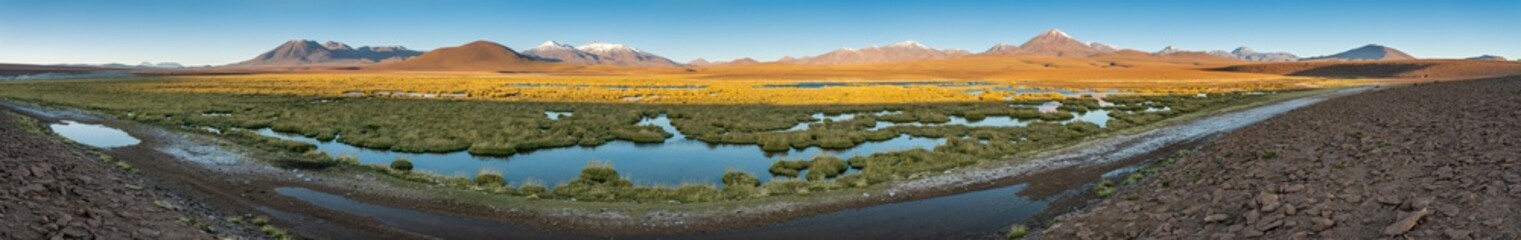 The amazing landscape views at Atacama Desert altiplano, at more than 4,000 masl. Impressive scenery of the desert going to an infinite horizon with lagoons and meadows going to the infinity at sunset