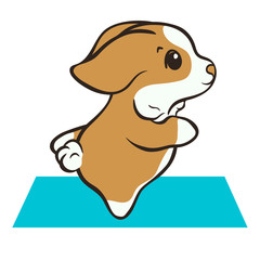 Welsh corgi dog practices yoga vector illustration. Cute corgi puppy in sport. Fluffy Corgi Pembroke, love dogs. Morning exercises on rug. Healthy lifestyle with funny puppy. Corgi on rug.