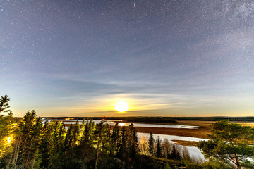 Obraz premium Full moon and stars in clear sky shines over Scandinavian wild forest, lakes, swamps, long exposure night photo, autumn, virgin landscape