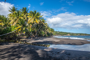 Fototapeta na wymiar Plage de Grande Anse à Trois rivières en Guadeloupe