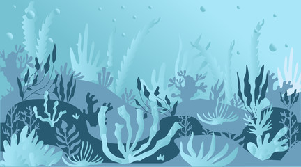 Seaweed landscape4