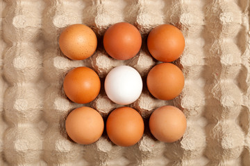eggs brown, white on gray packaging