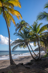 Plage de Grande Anse à Trois rivières en Guadeloupe